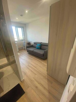 Flat-screen TV - Studio le wilson opposite Mulhouse train station (Mulhouse)