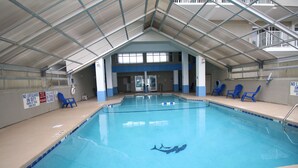 Une piscine intérieure décorée sur le thème des dauphins, avec une indication de profondeur de 2,4 mètres et des chaises bleues disposées le long du bord.