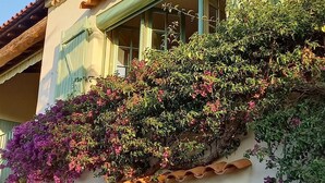 A building with a tiled roof, green shutters, and a balcony with flowering plants.