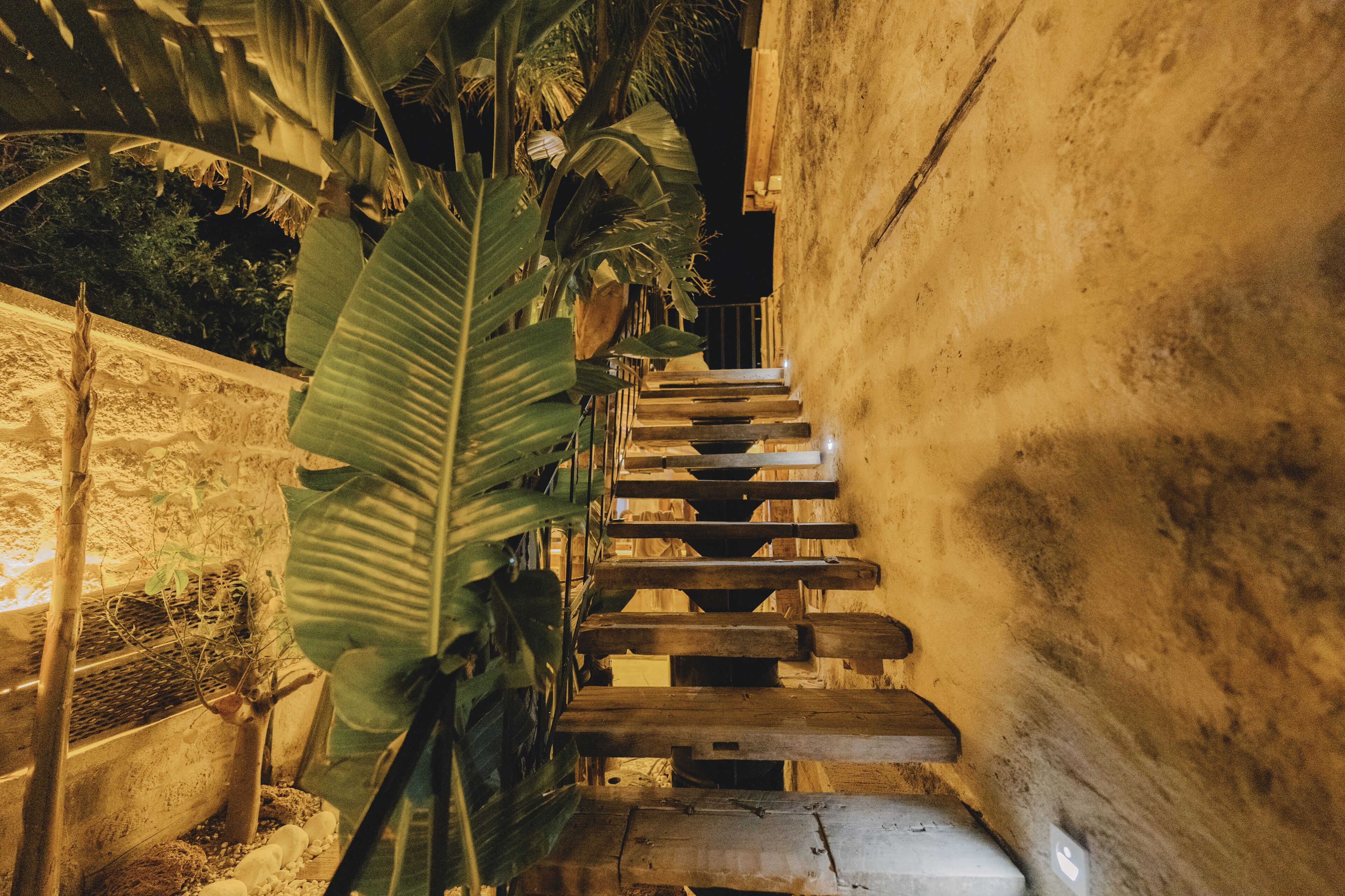 A staircase with wooden steps leading up to a balcony, surrounded by large green leaves and a concrete wall.
