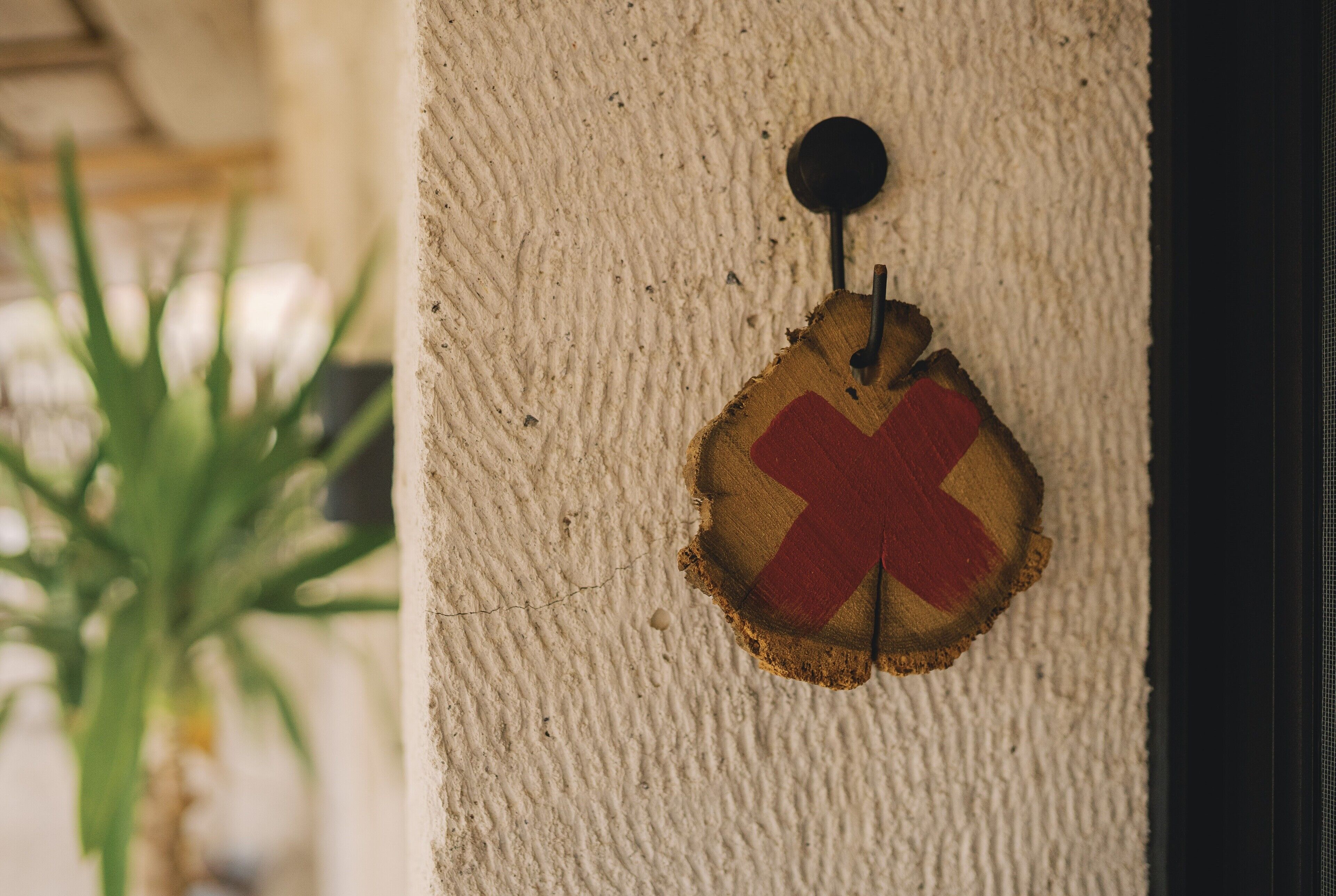 A wall-mounted sign with a red cross symbol, a textured wall, and a plant in the background.
