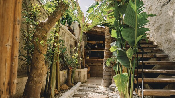 A narrow stone pathway flanked by lush greenery and rustic wooden steps leading to a wooden structure. - Suare Alaçatı (Cesme)