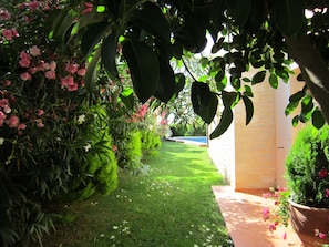 Ein Gartenweg, der zu einem Gebäude mit einem Pool im Hintergrund führt.