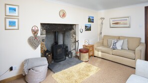 Smart TV, chimenea, reproductor de DVD y libros 