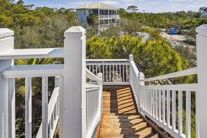 Property grounds - Welcome to An Angel's Dream! (St. George Island)