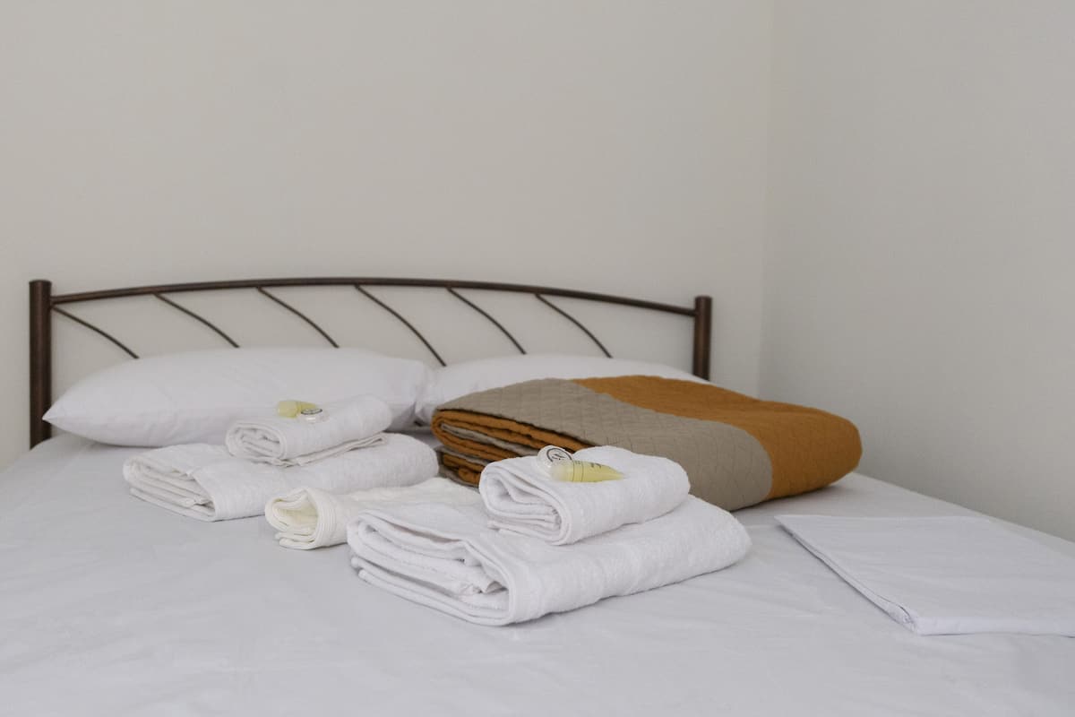 Basic Double Room (102)