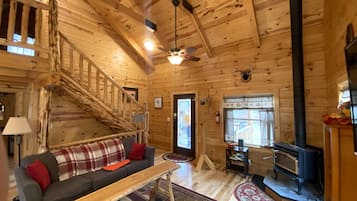 电视、DVD 播放器