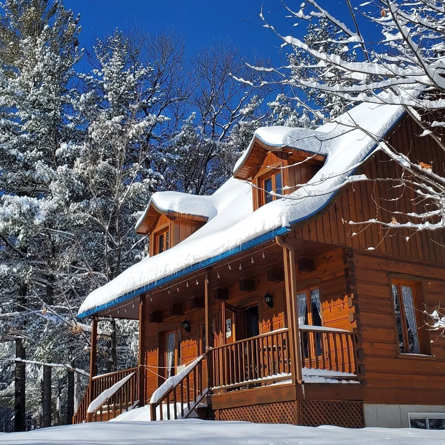 Une cabane en bois dotée d’un porche abrité et d’un toit recouvert de neige, entourée d’arbres.
