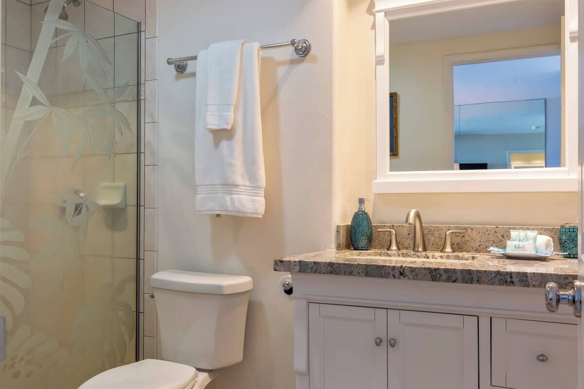 A bathroom with a toilet, a glass shower enclosure, a towel rack with two towels, a sink with a faucet, a soap dispenser, and a mirror above the sink.