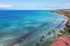Une vue sur la côte, avec une eau turquoise et limpide, une plage de sable et une zone résidentielle bordée de maisons et de palmiers.