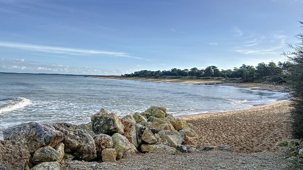 A beach with a rocky foreground and a clear view of the ocean. - VILLA SOLEIL (La Brée-les-Bains)