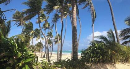 Art Villa Dominicana