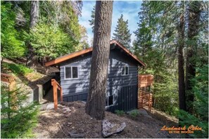 Exterior - Secluded Cabin Nestled in the Woods - 4 min to Santa - 3 to Village  (Lake Arrowhead)