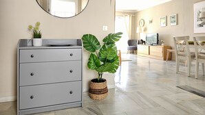 Un salón moderno con un mueble gris, un espejo grande y una planta de monstera en maceta.