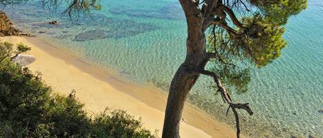 Plage, chaises longues