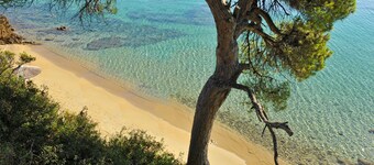 Levanta By Luxury Villas Skiathos