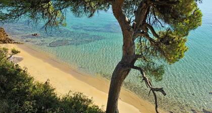 Levanta By Luxury Villas Skiathos