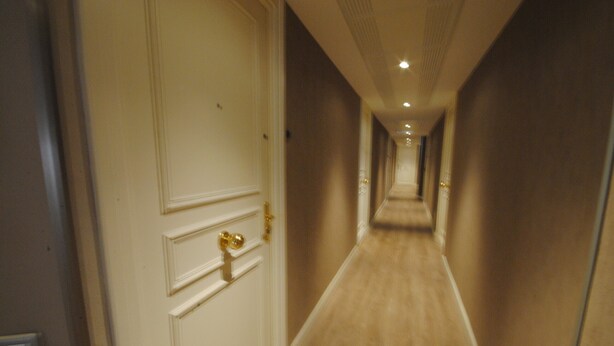 A corridor with a carpeted floor and a door with a gold handle. - Palais Rouaze/ Beg4012/ 2P (Cannes)