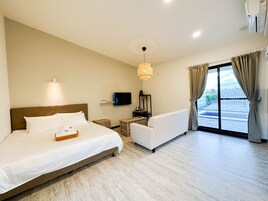 43-英寸LED 电视（配备数码频道）、电视、Netflix