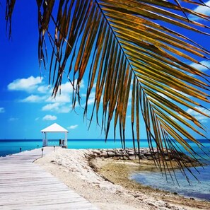 A beach with a wooden walkway leading to a white gazebo. - Palm Cay Marina, Resort & Spa (Nassau)