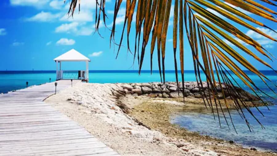 Palm Cay Beach Club & Marina