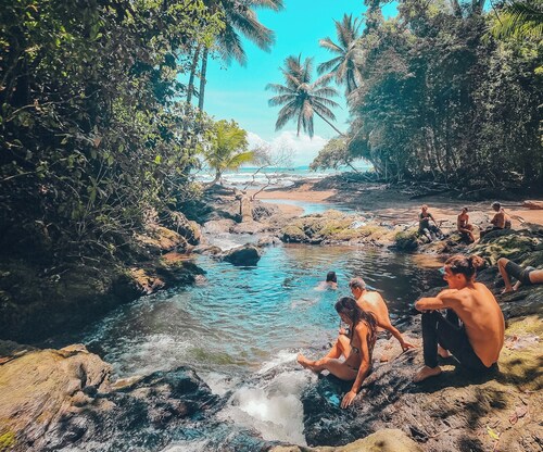 Beachfront Cabin next to the Corcovado National Park-All meals included