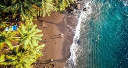 Beachfront Kinkajou Cabin next to the Corcovado National Park-All meals included