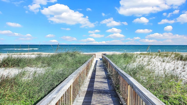 A wooden boardwalk leading to a beach with a clear blue sky and white clouds. - Oceanfront, stunning, renovated, Guests love it! (Ponte Vedra Beach)