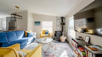 Smart TV, fireplace, books, video library