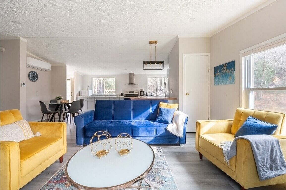 Smart TV, fireplace, books, video library