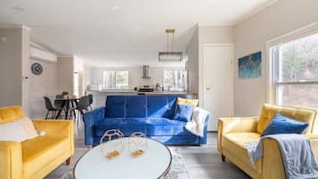 Smart TV, fireplace, books, video library