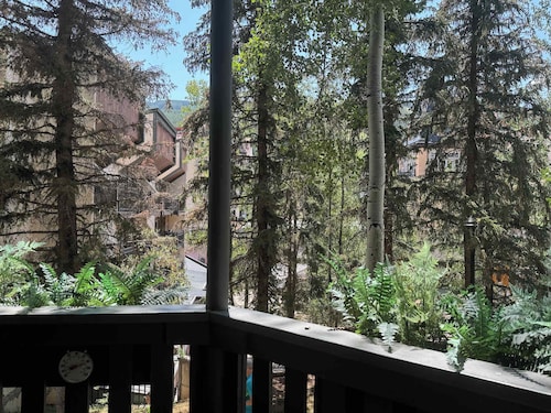 Recently remodeled 3bdr condo in Lionshead