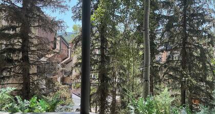 Recently remodeled 3bdr condo in Lionshead