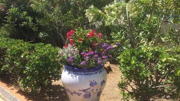 Terrein van de accommodatie