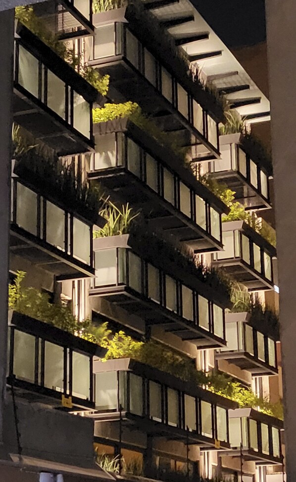 Front of property - Suites Mine (Mexico City)