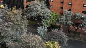 Un immeuble de grande hauteur doté de nombreux balcons et dont la façade est un mélange de briques et de verre.