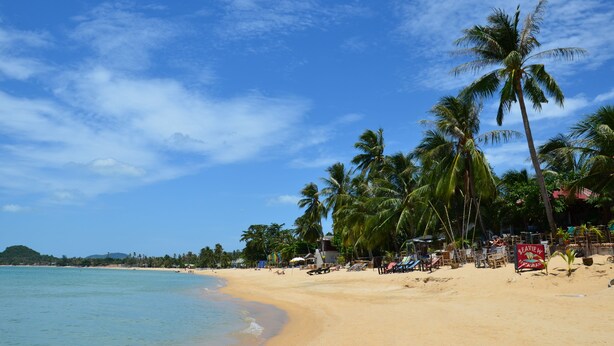 Ein Strand mit Palmen, einem Schild für ein Restaurant und einem wolkenlosen, blauen Himmel.