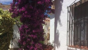 A white building with a stone pathway and a large potted plant with purple flowers. - Charming, renovated house—4-minute walk to Grifeu Beach—Beautiful garden—Parking—Air conditioning (Llançà)