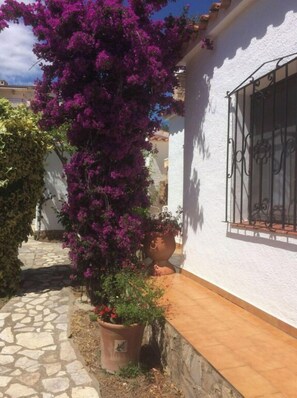 Ein weißes Gebäude mit einem gepflasterten Weg und einem großen Blumentopf mit violetten Blüten.