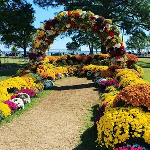 Un arco floral en un parque con un sendero despejado que lo atraviesa.