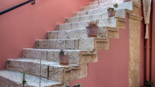 A set of stone steps with potted plants placed at intervals.