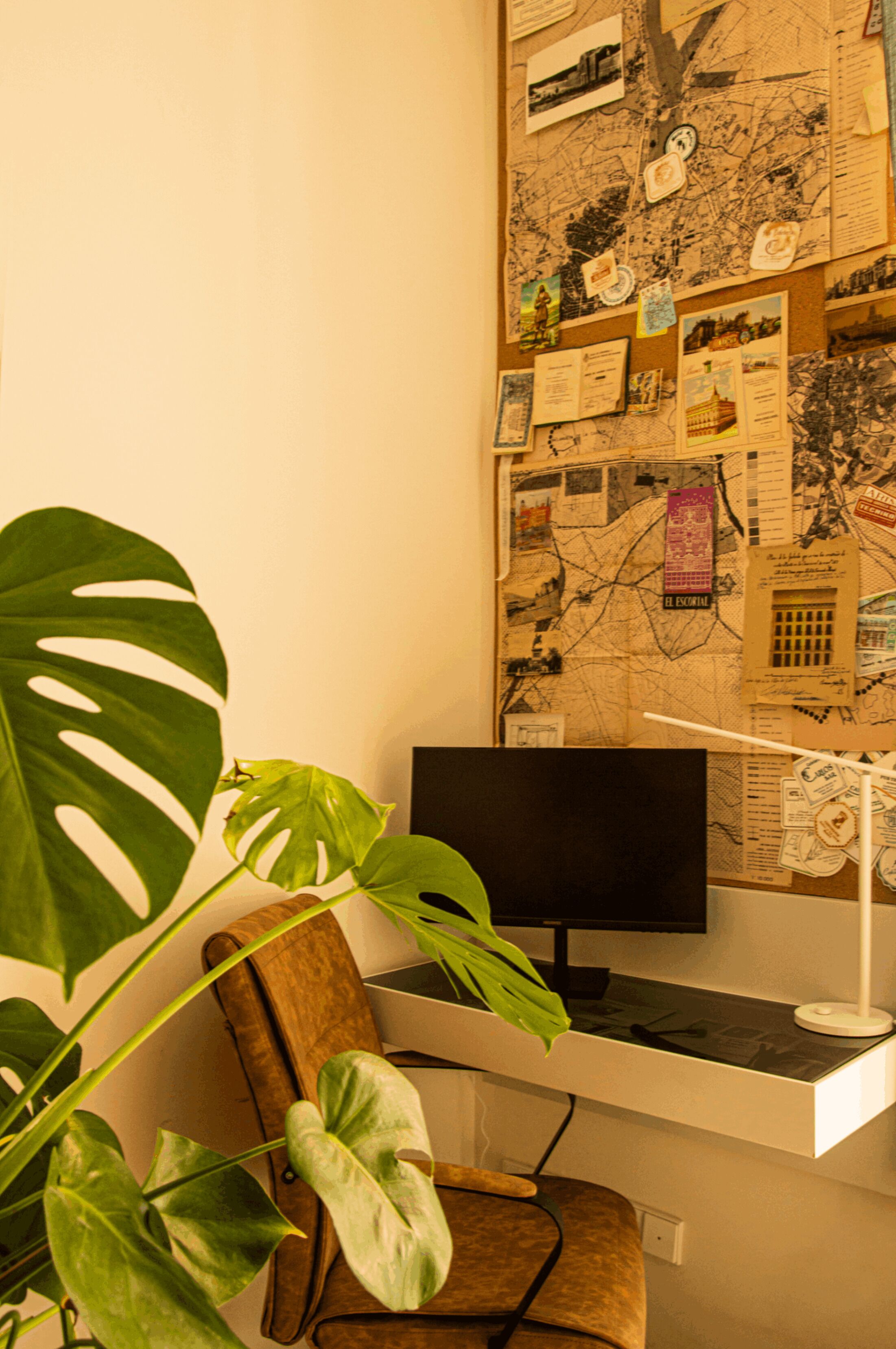 A workspace with a computer, a map-covered wall, and a large plant.