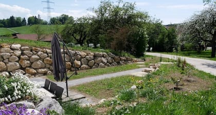 Herzlich Willkommen in Moni's Landchalet! 3-Zimmer Ferienwohnung