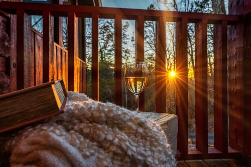 Entire Cabin! Hot Tub!  Sleeps 12 4 BD/4BA. 1 Mile to Convention Center