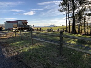 Sports court - Tiny Homes (Mount Jackson)