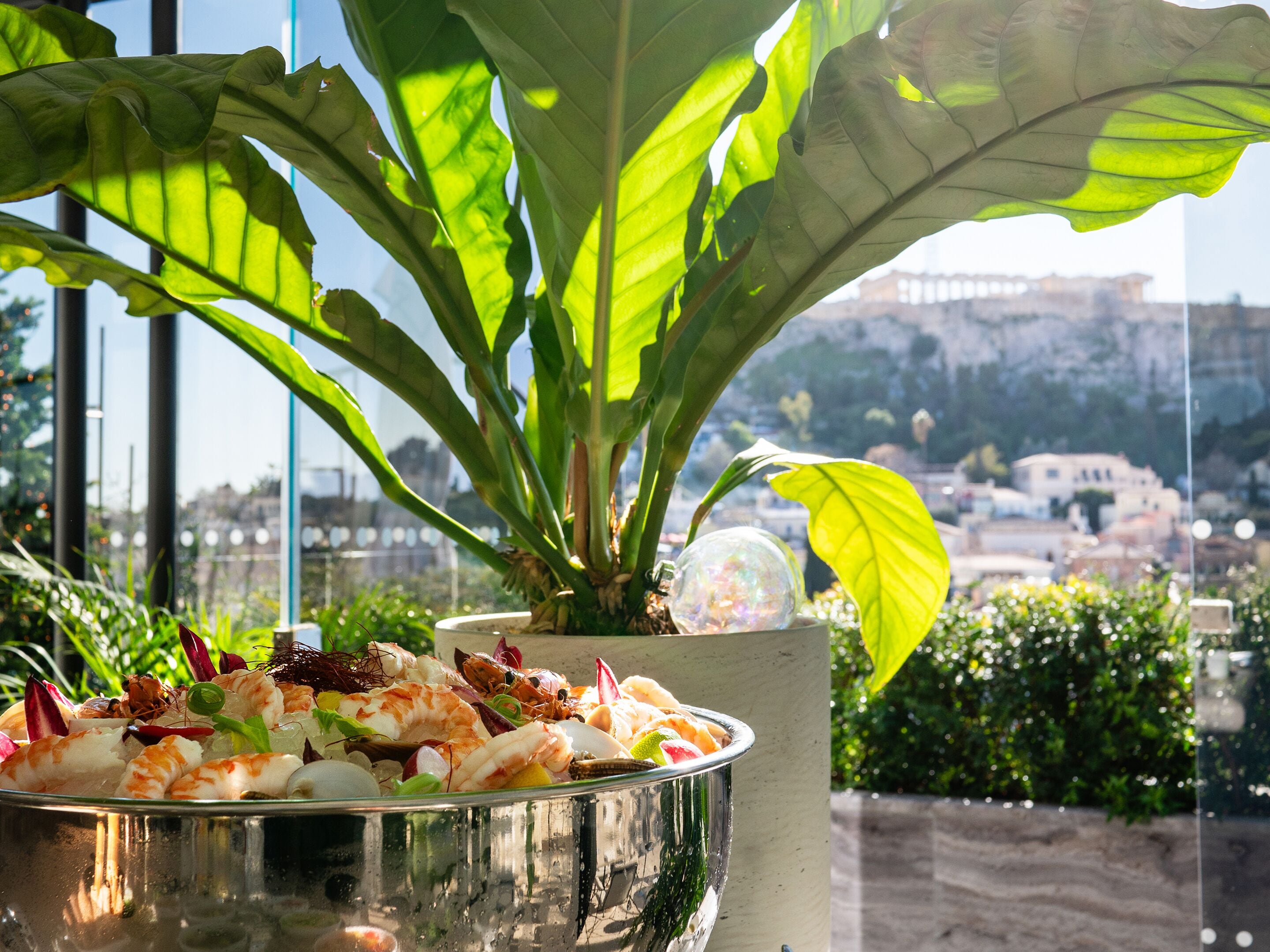 Photo - The Dolli at Acropolis, A Hotel to Live