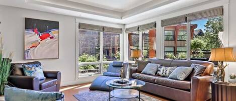 TV, fireplace, stereo, offices