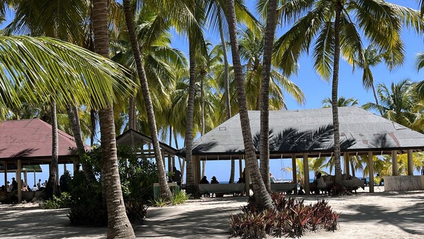 A beachside pavilion with a roof, surrounded by palm trees and a sandy ground.