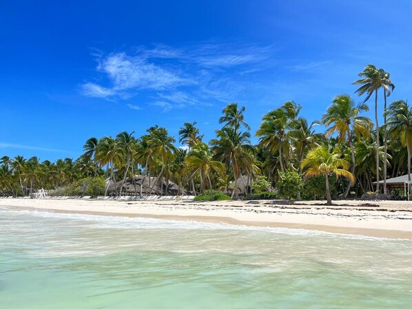 Beach nearby, sun loungers - Luxury Coastal 2bed & 1 bath beach condo 5min walk to beach and restaurants. (La Altagracia Province)