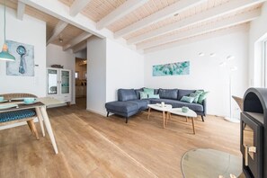 Televisión, chimenea y videoteca 